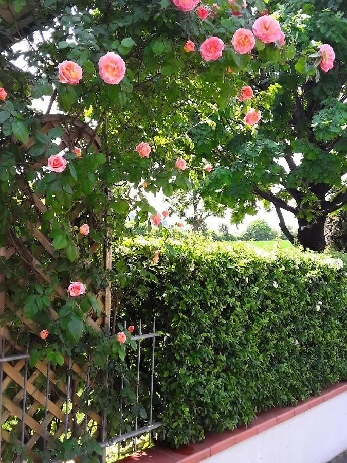 B&B La Rosa Gialla Maranello Bed & Breakfast